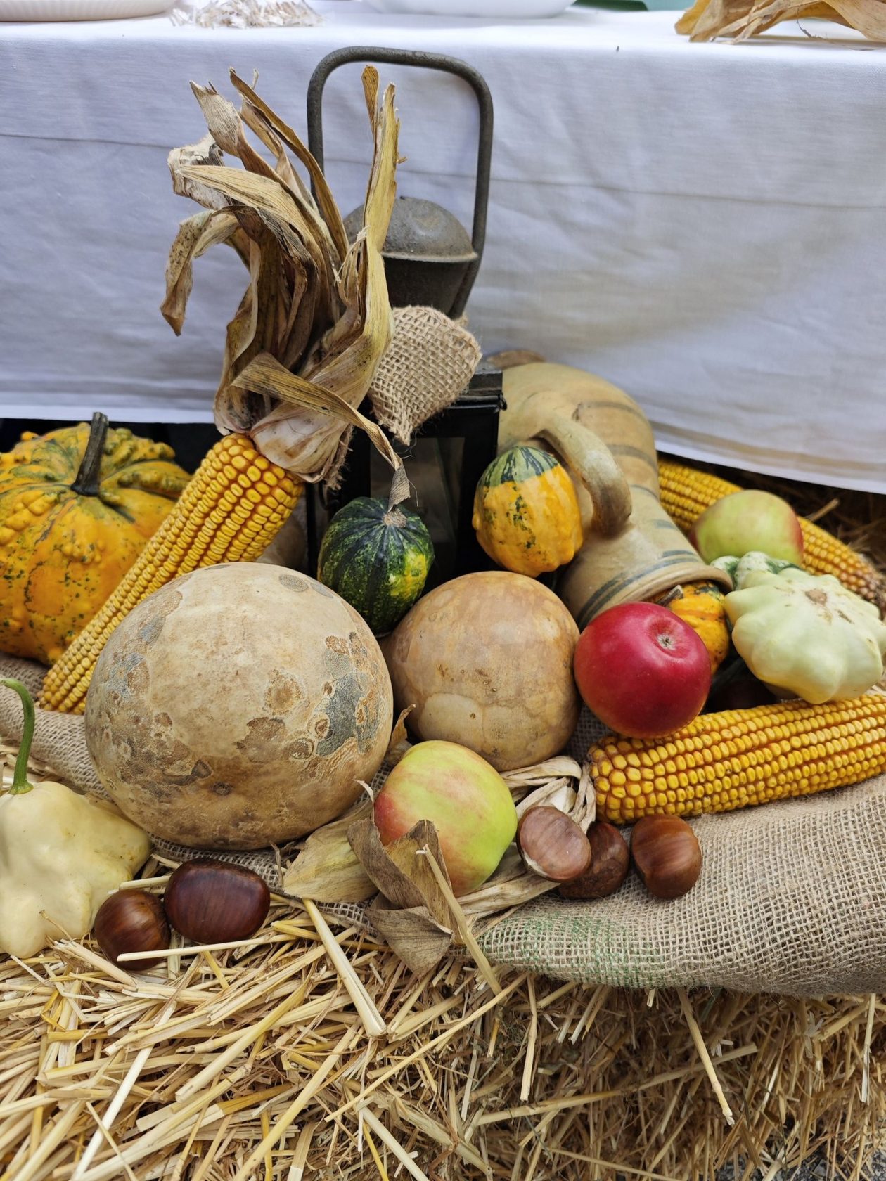 Dani zahvale Strahoninec 33