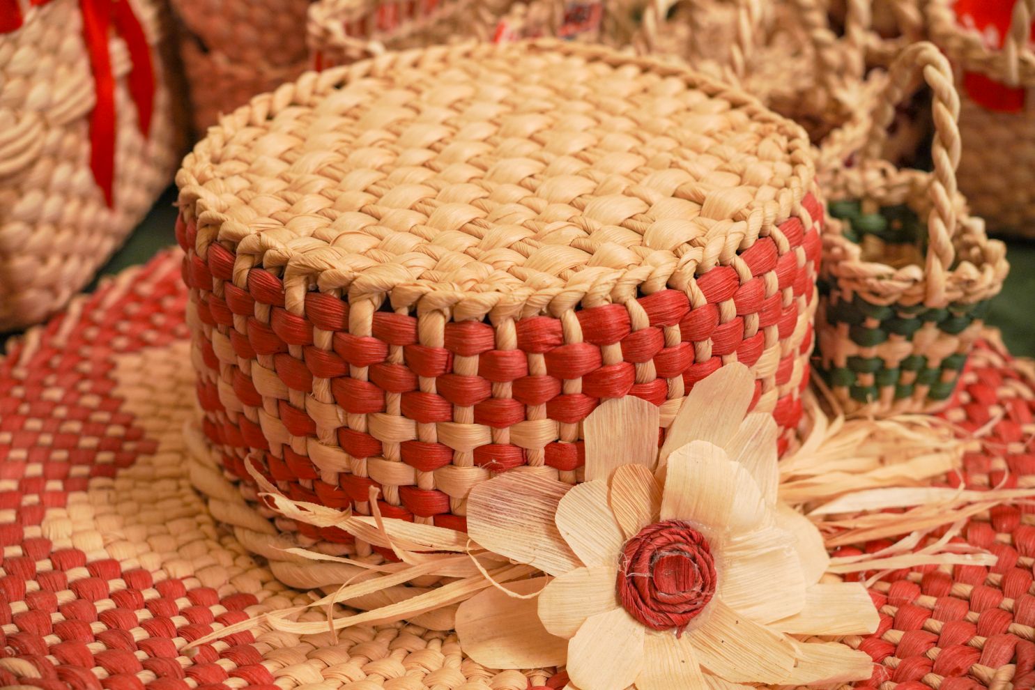 Dani zahvalnosti za plodove zemlje Nedelišće (30)