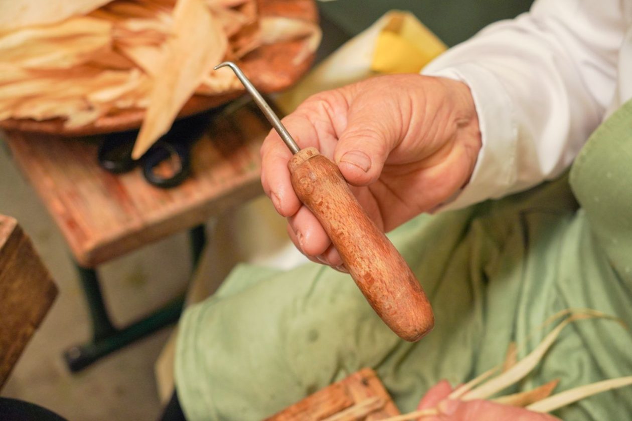 Dani zahvalnosti za plodove zemlje Nedelišće (38)