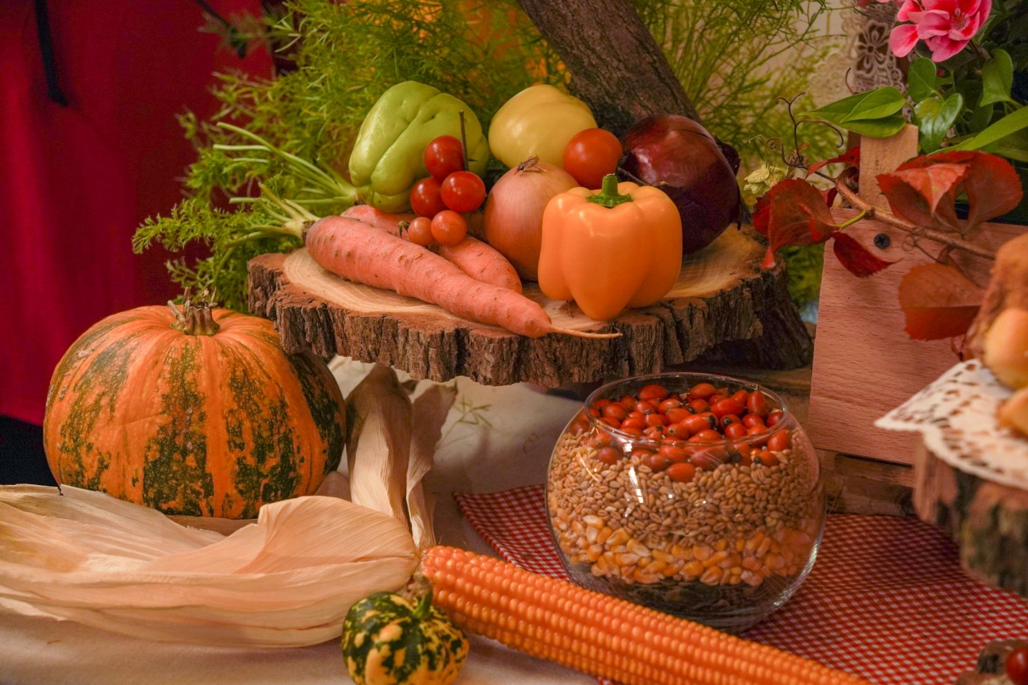 Dani zahvalnosti za plodove zemlje Nedelišće (44)