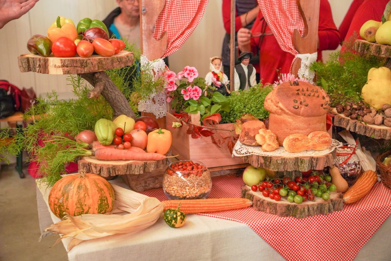 Dani zahvalnosti za plodove zemlje Nedelišće (46)