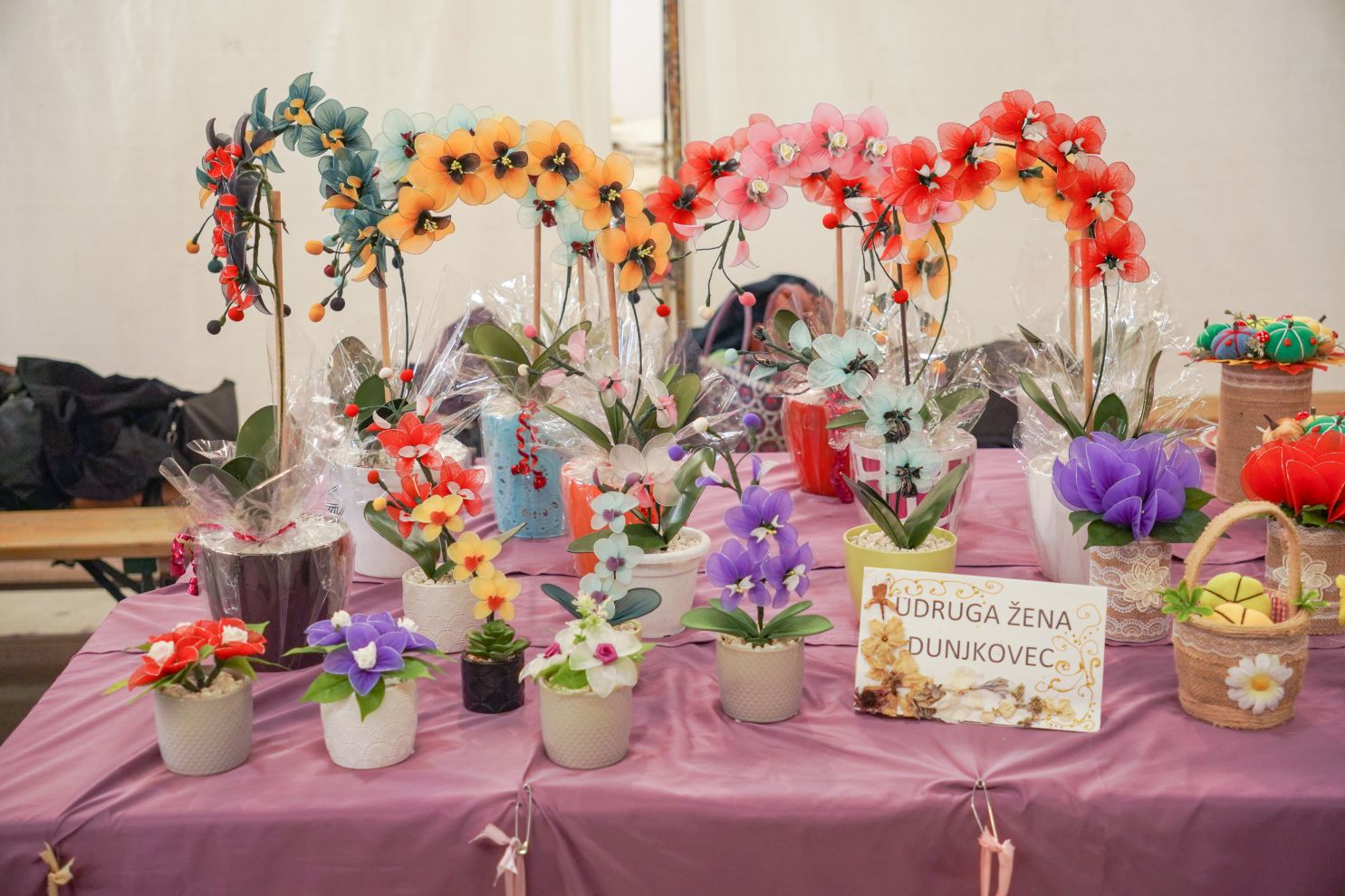 Dani zahvalnosti za plodove zemlje Nedelišće (50)