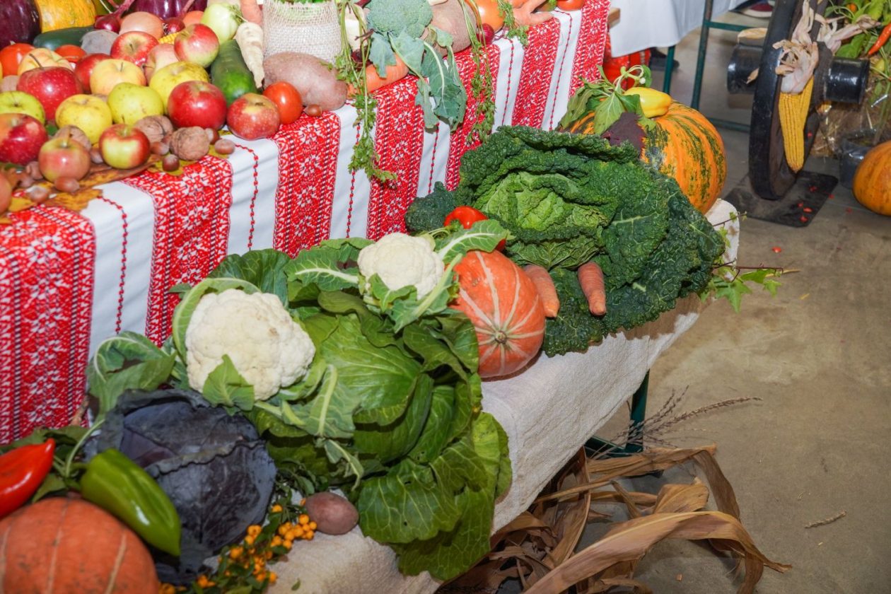 Dani zahvalnosti za plodove zemlje Nedelišće (73)