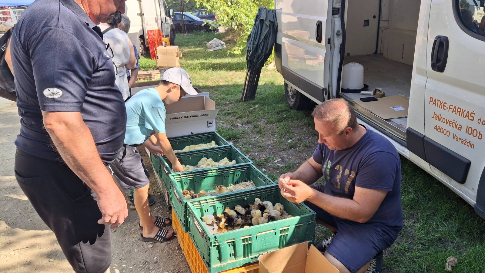 Danijel Friščić 1 Danijel Friščić 1