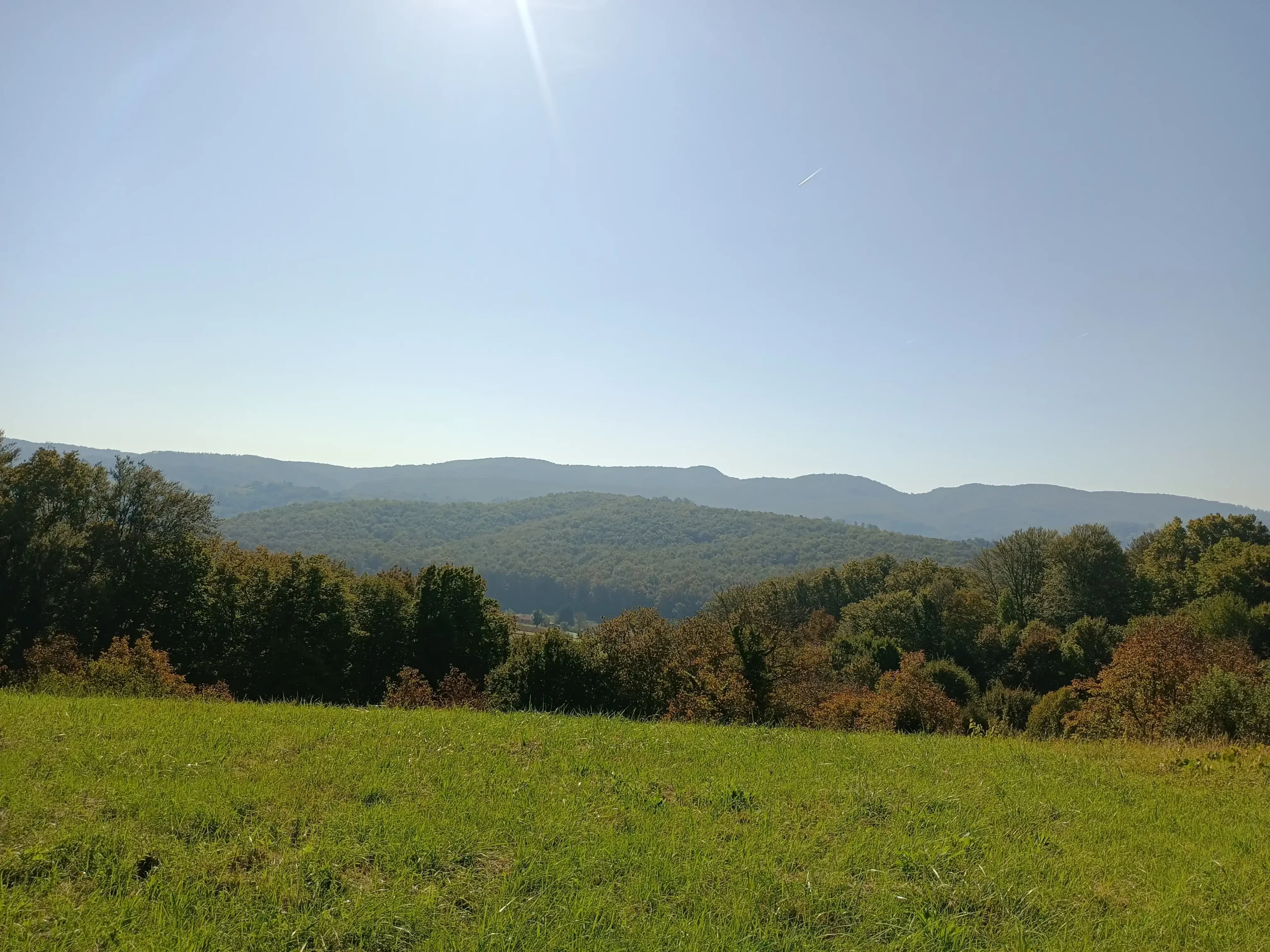 Danijel Mikolaj (10) Danijel Mikolaj (10)