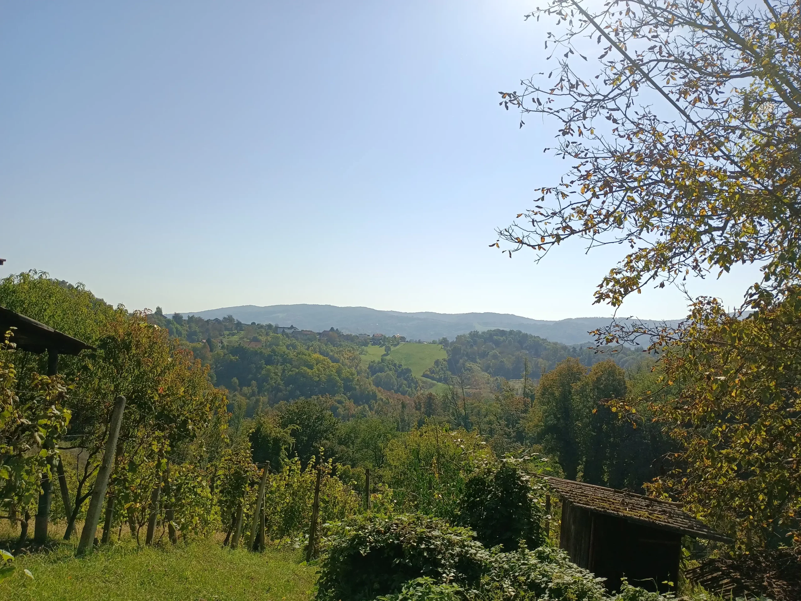 Danijel Mikolaj (11) Danijel Mikolaj (11)