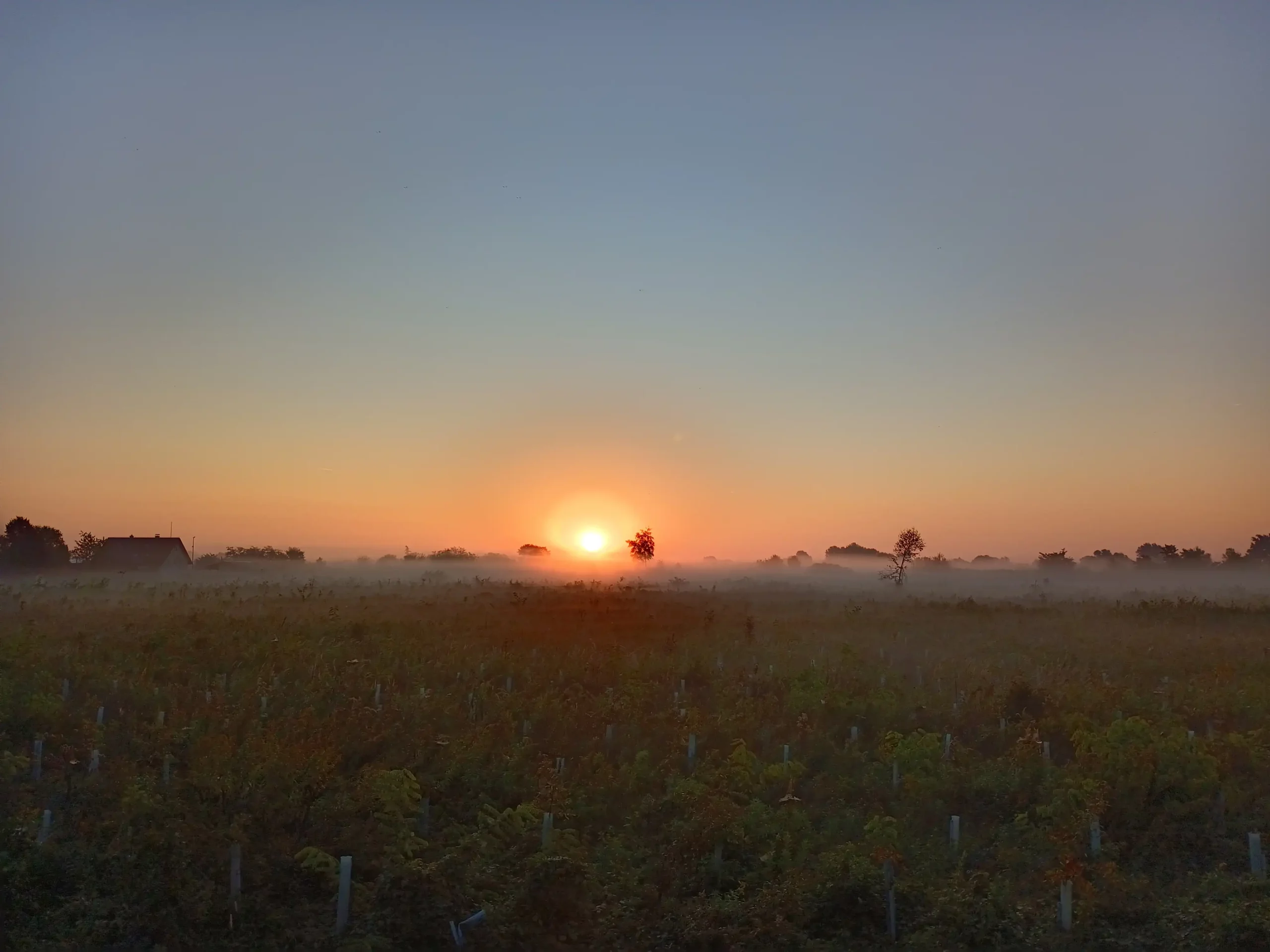 Danijel Mikolaj (3) Danijel Mikolaj (3)