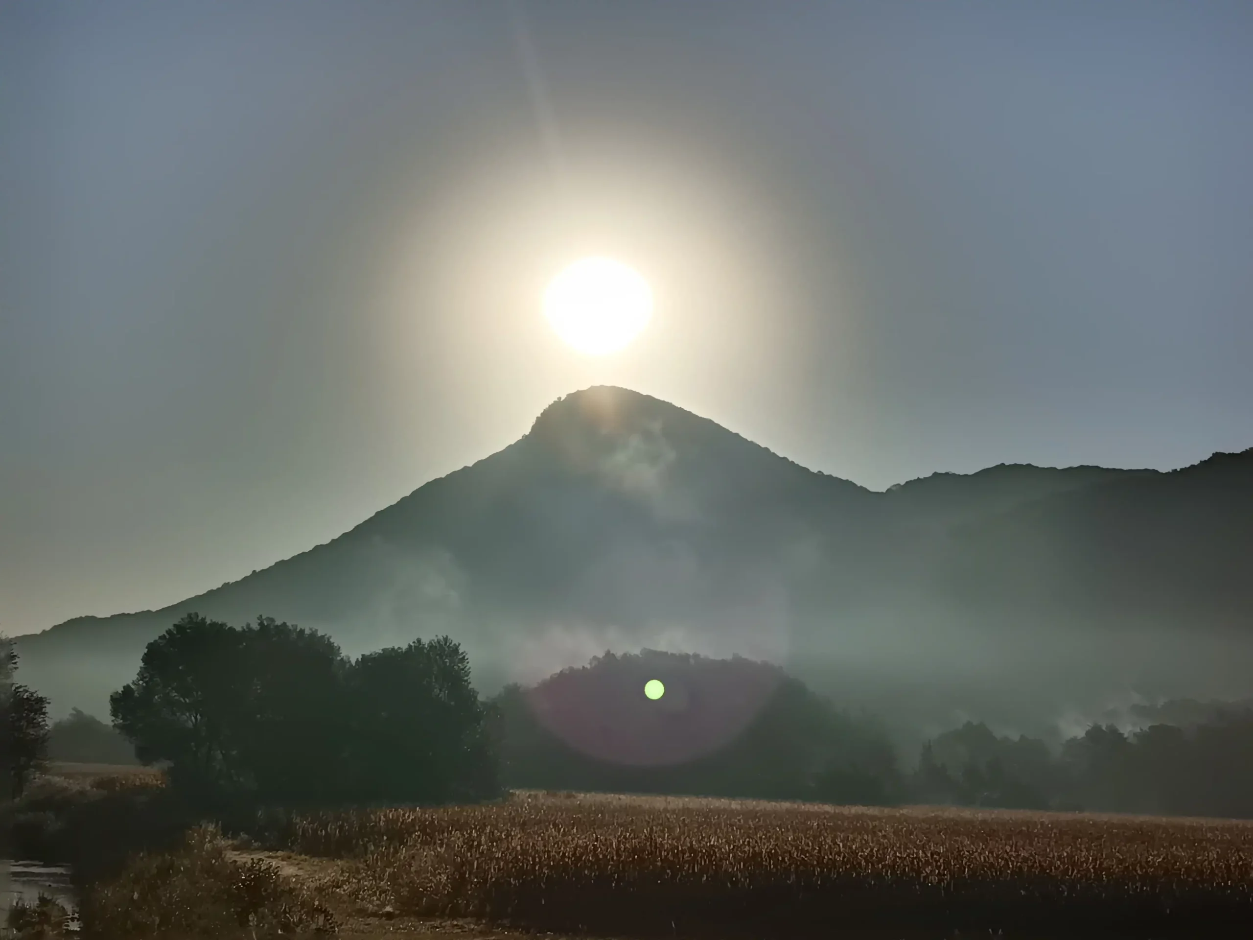 Danijel Mikolaj (6) Danijel Mikolaj (6)