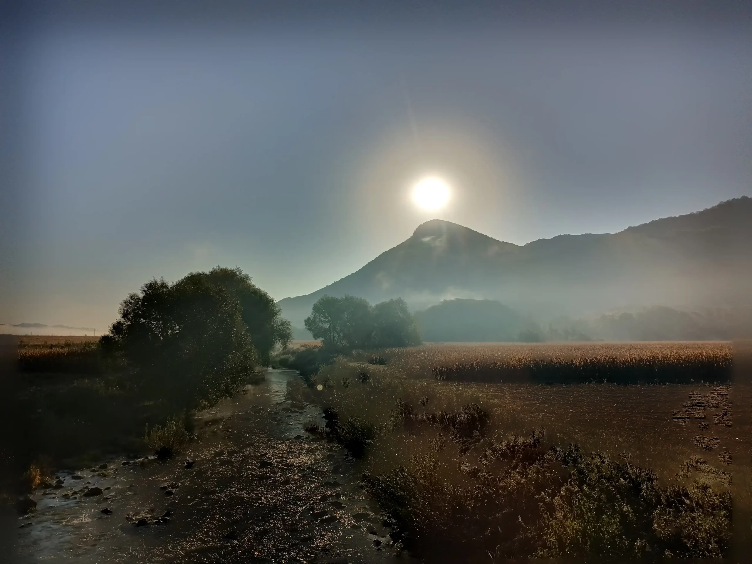 Danijel Mikolaj (7) Danijel Mikolaj (7)