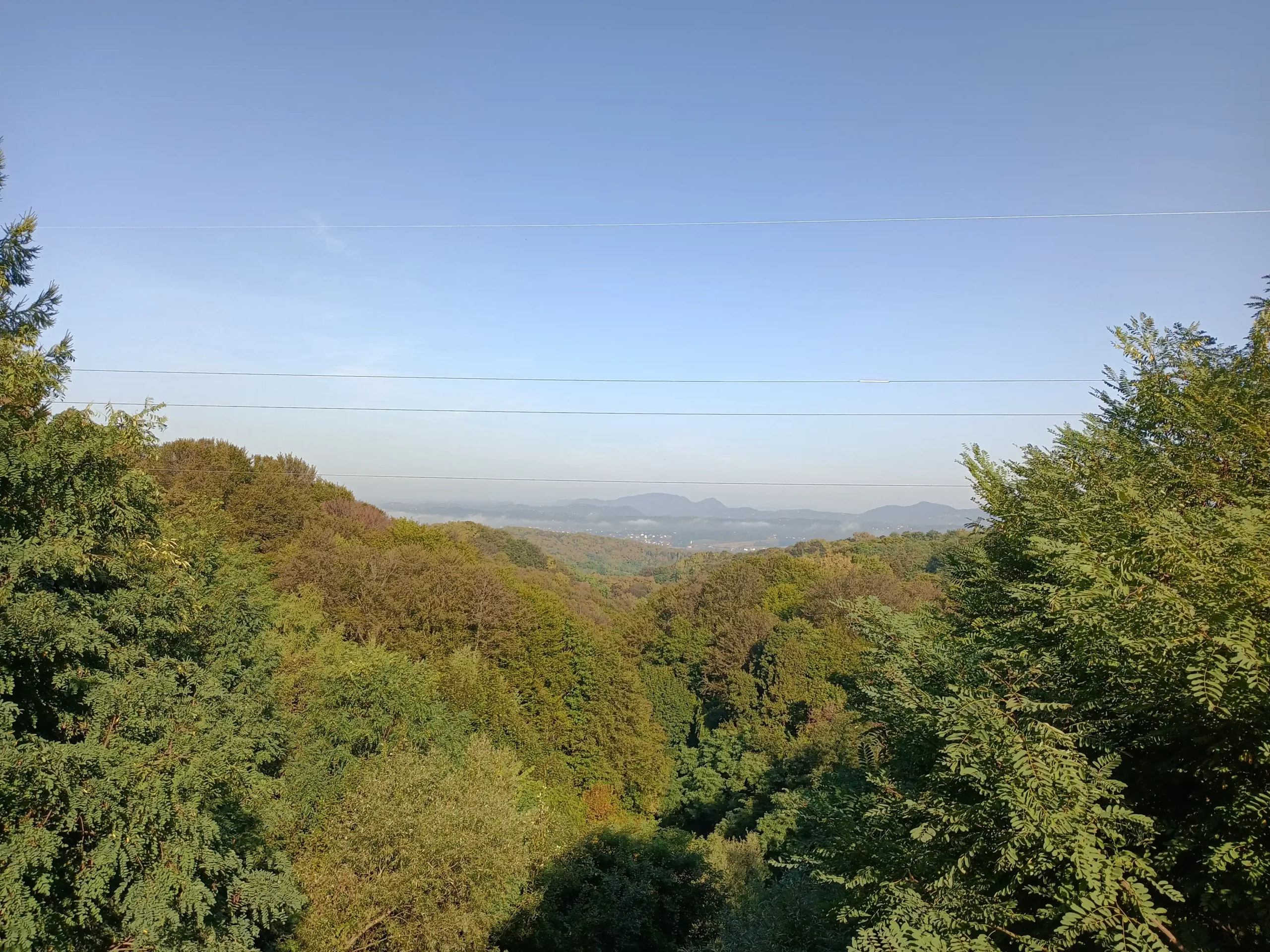 Danijel Mikolaj (8) Danijel Mikolaj (8)