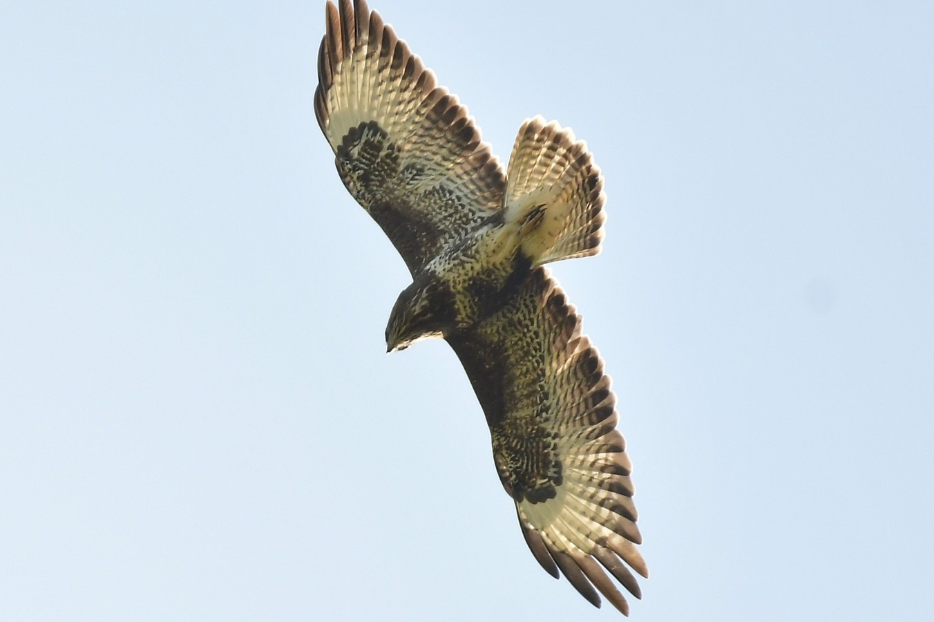 Danijel Mikolaj proljeće (14) Danijel Mikolaj proljeće (14)