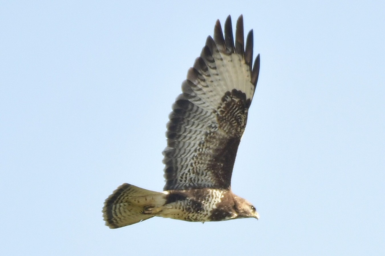 Danijel Mikolaj proljeće (15) Danijel Mikolaj proljeće (15)