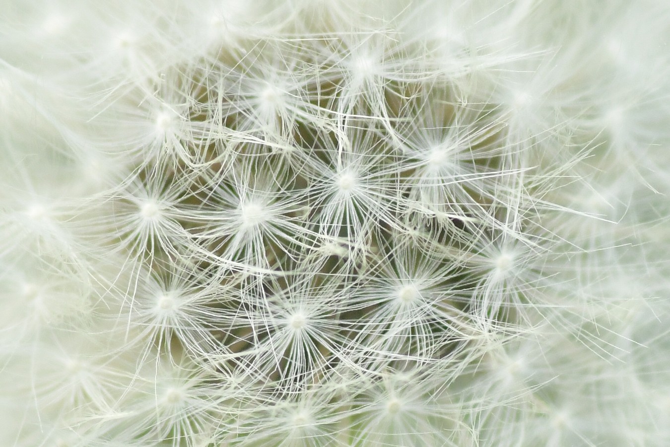 Danijel Mikolaj proljeće (3) Danijel Mikolaj proljeće (3)