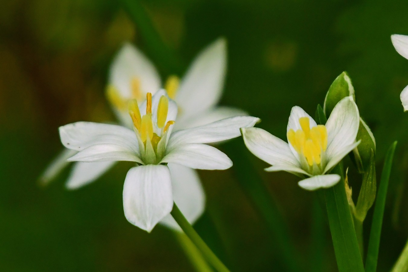 Danijel Mikolaj proljeće (6) Danijel Mikolaj proljeće (6)