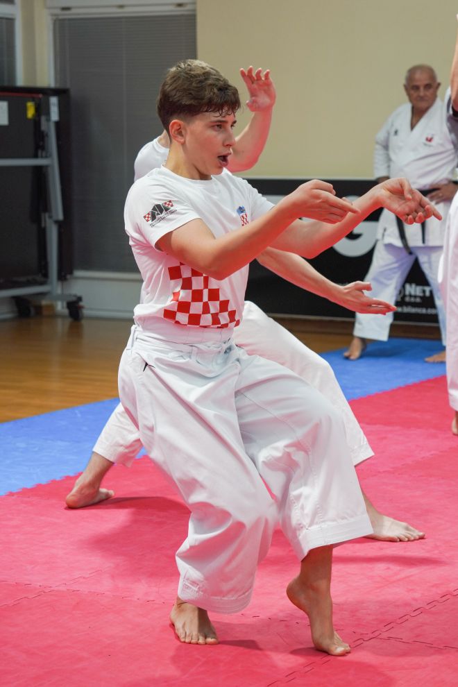David Faić Karate centar Šenkovec (10) David Faić Karate centar Šenkovec (10)
