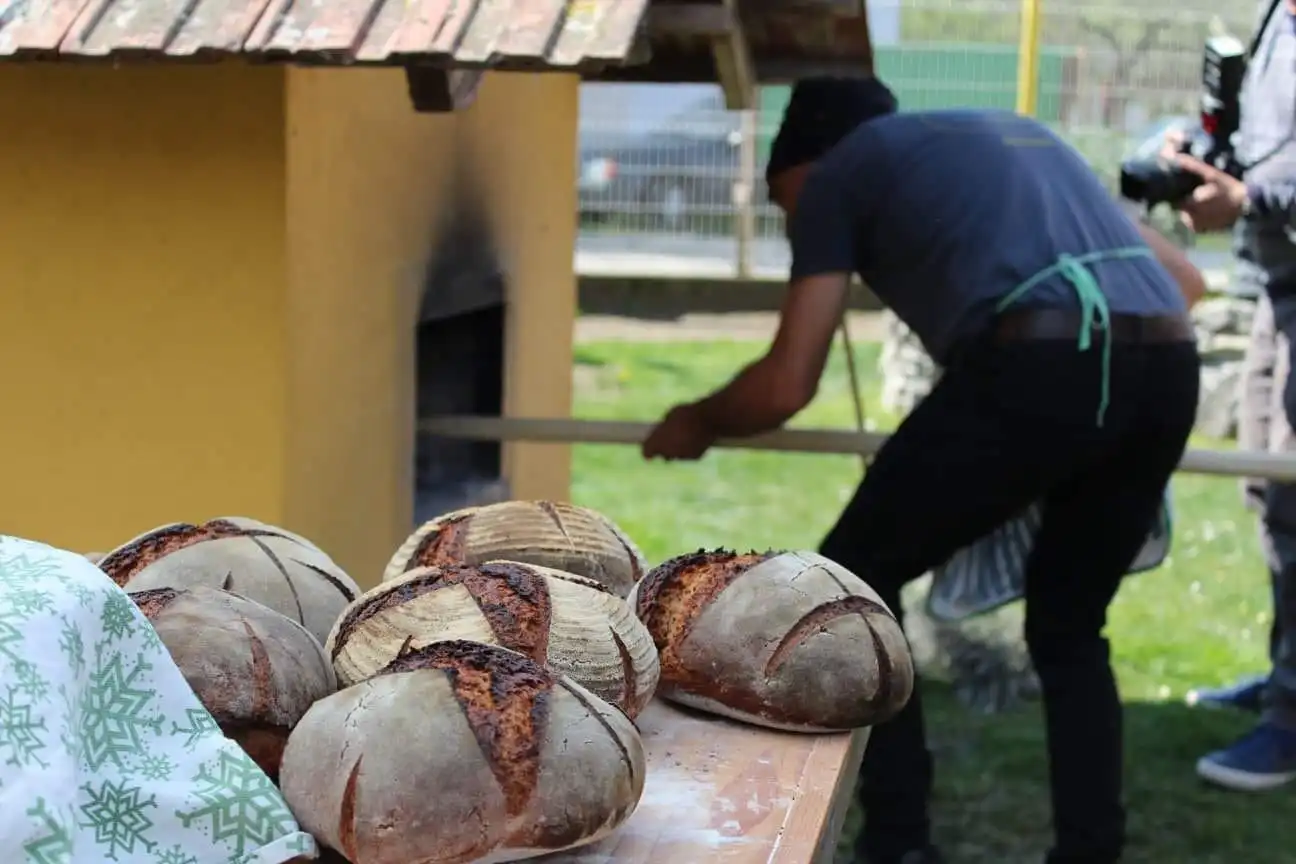 Davor Mustač 4, domaći kruh Davor Mustač 4, domaći kruh