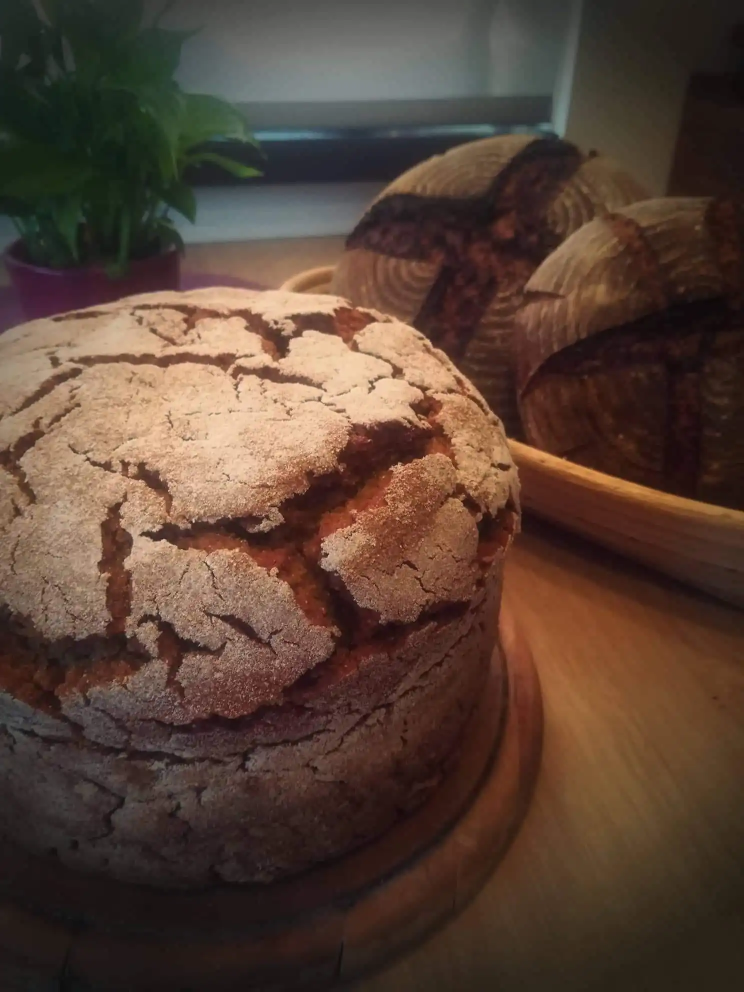 Davor Mustač 5 Davor Mustač 5