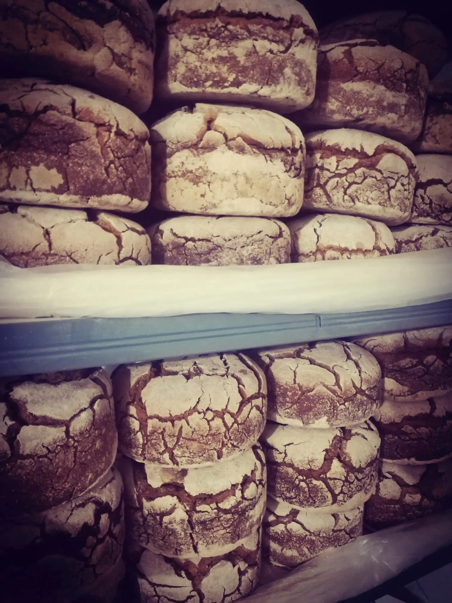 Davor Mustač 6 Davor Mustač 6