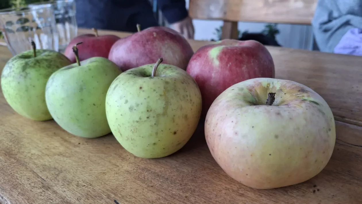 Dean i Natalija Hunjadi, Sveta Marija, jabuka (10)