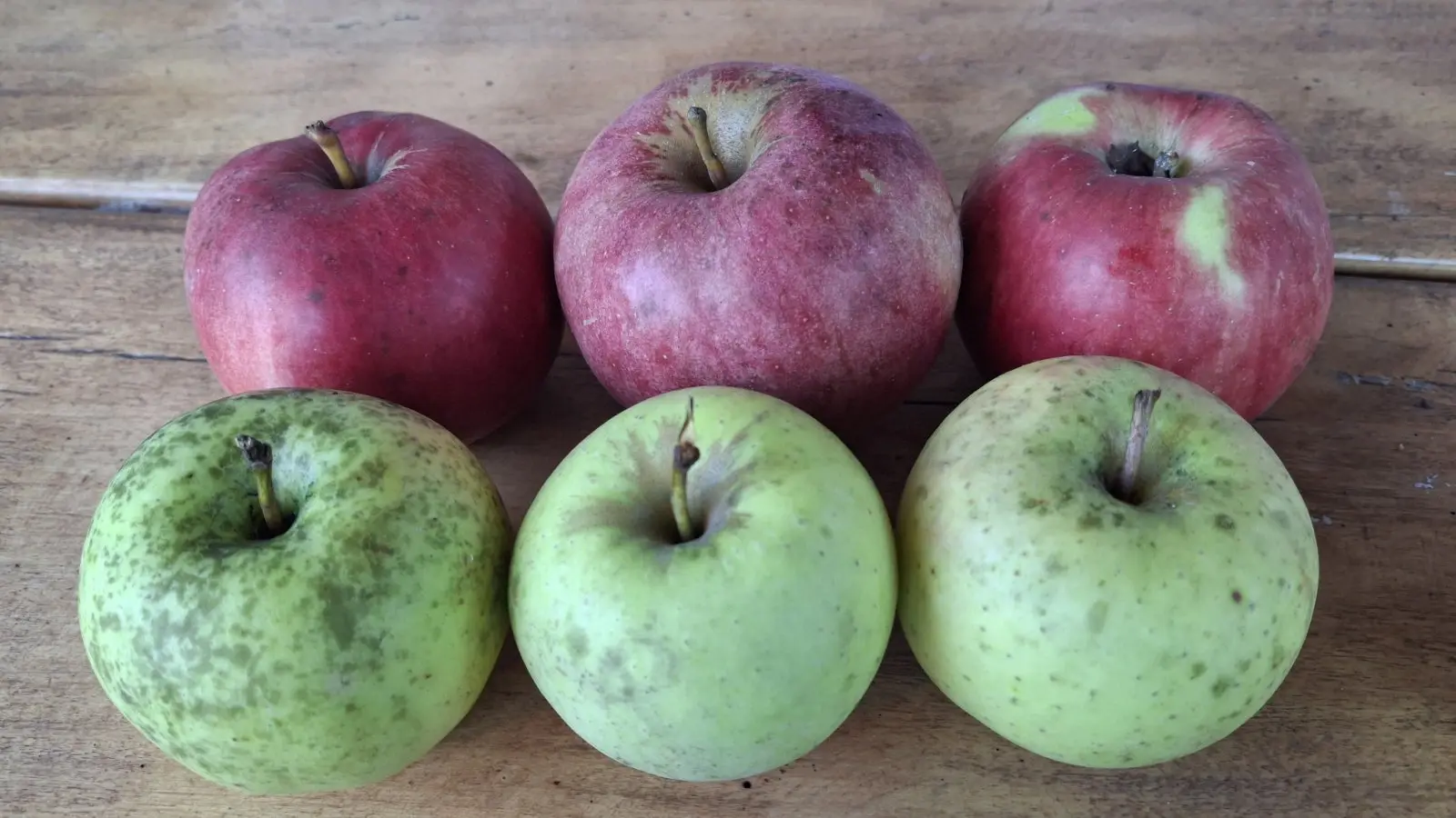 Dean i Natalija Hunjadi, Sveta Marija, jabuka (11)