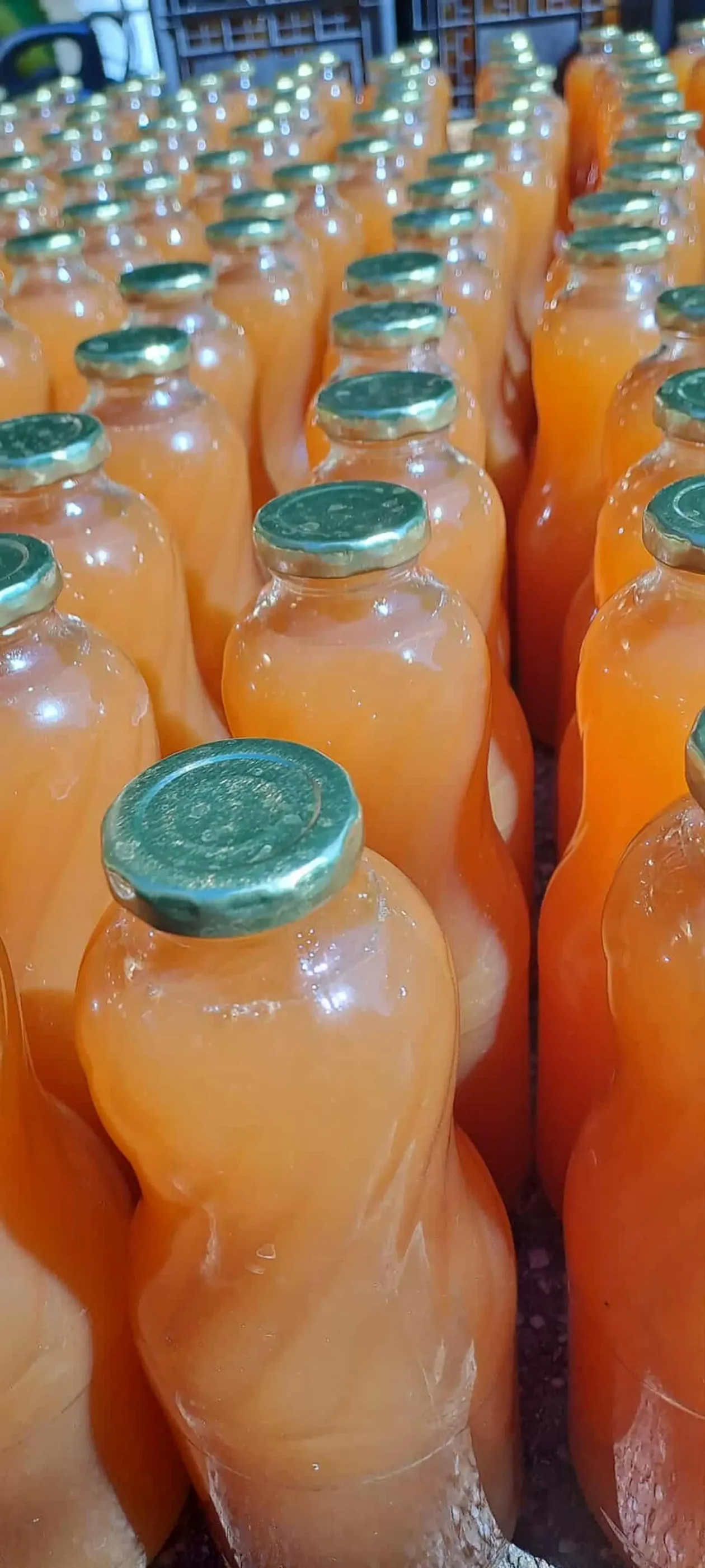 Dean i Natalija Hunjadi, Sveta Marija, jabuka (12)