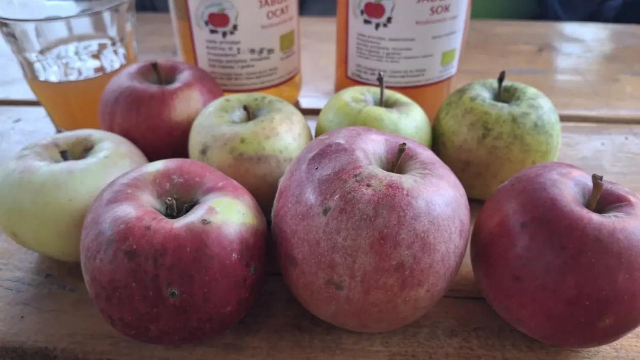 Dean i Natalija Hunjadi, Sveta Marija, jabuka (7)