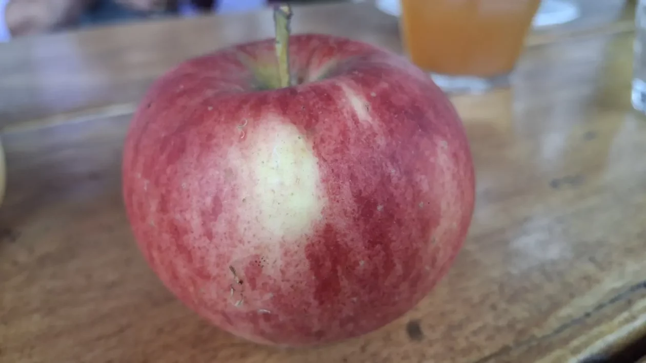 Dean i Natalija Hunjadi, Sveta Marija, jabuka (9)