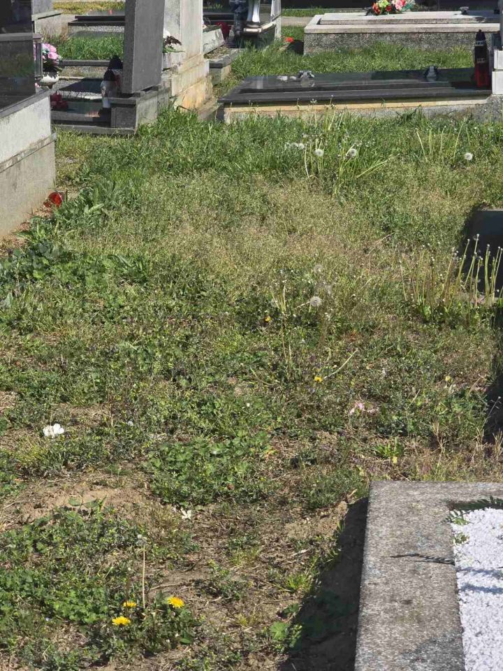 Dekanovec groblje 2026 (1)