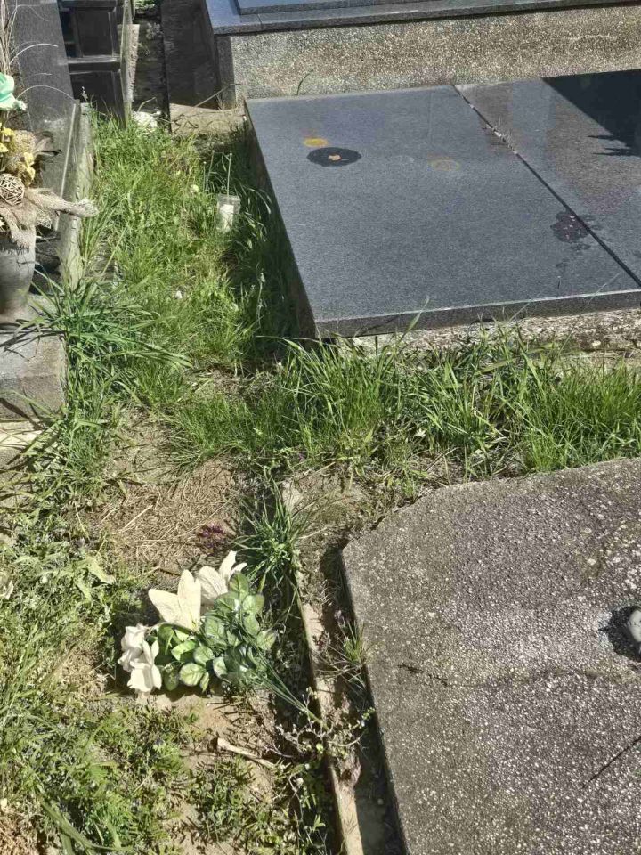 Dekanovec groblje 2026 (2)