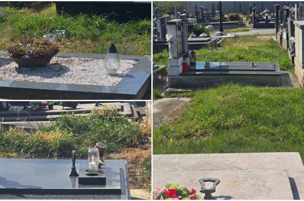 Dekanovec groblje 2026 (6)