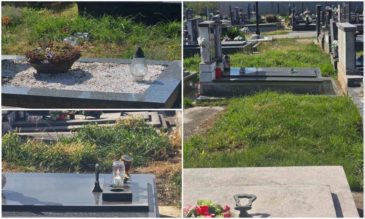 Dekanovec groblje 2026 (6)