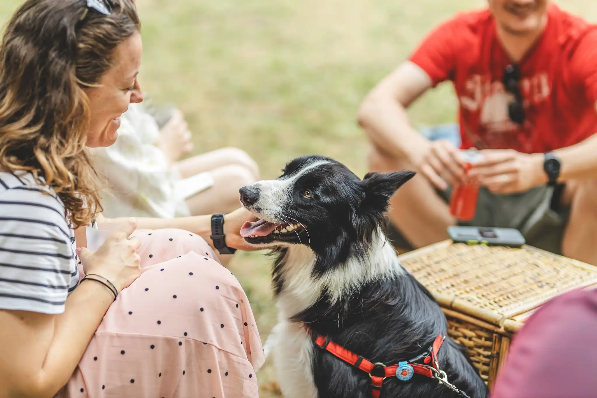 Deklina oaza, Porcijunkulovo 2024 (5)