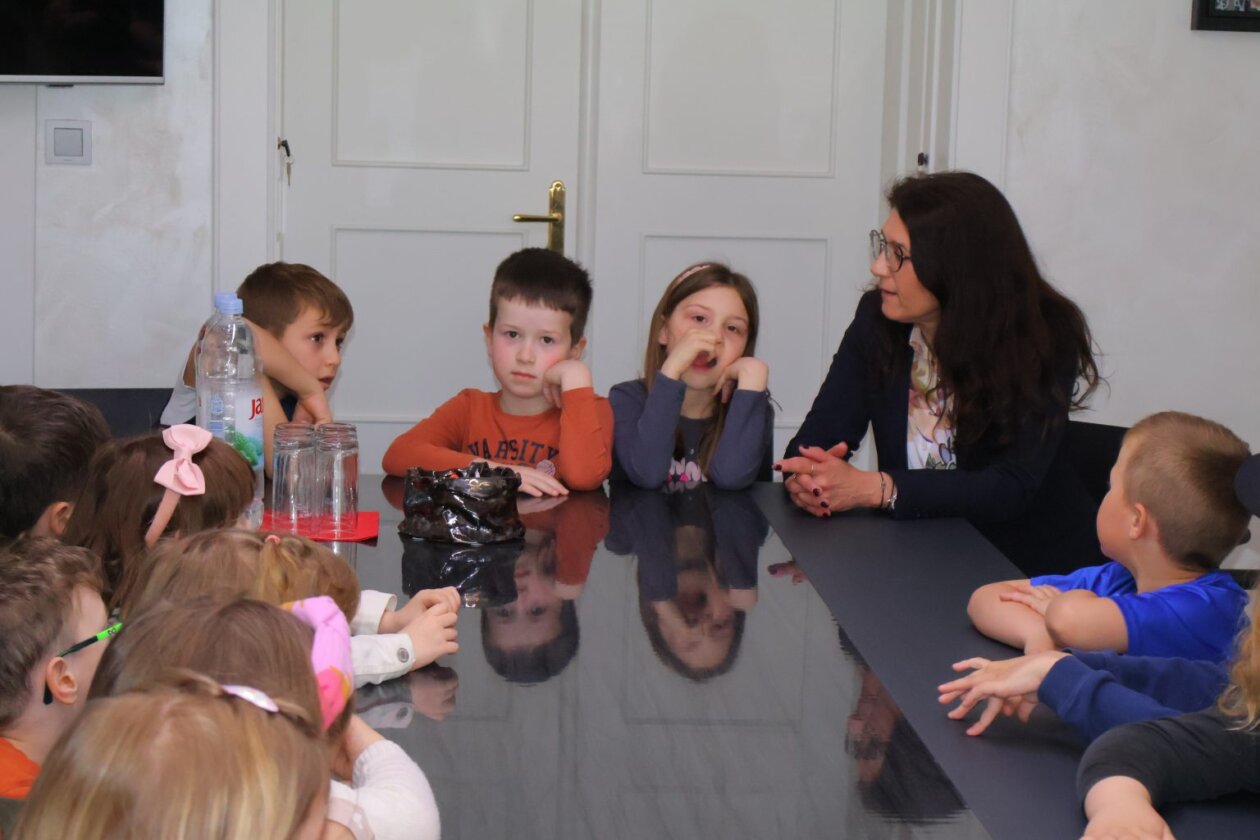 Delfinići u gradskoj upravi (5) Delfinići u gradskoj upravi (5)