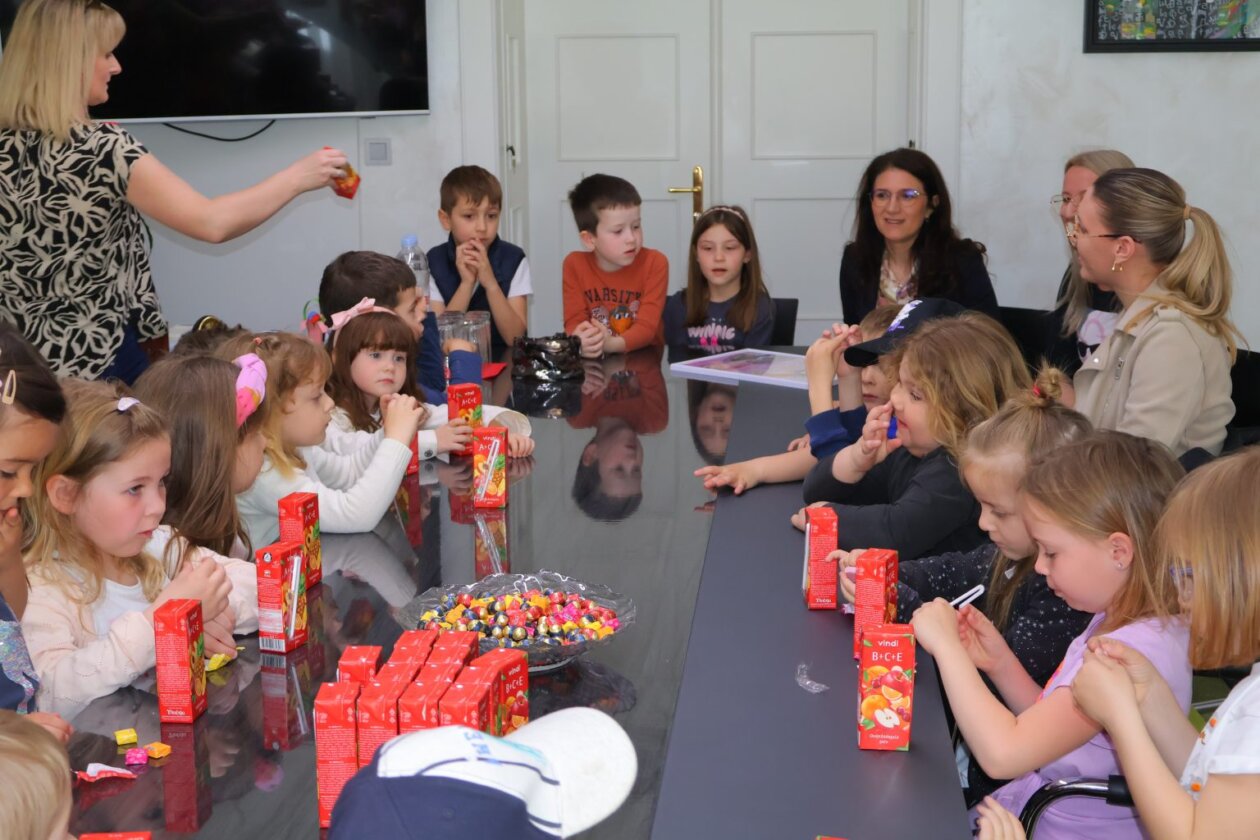 Delfinići u gradskoj upravi (9) Delfinići u gradskoj upravi (9)