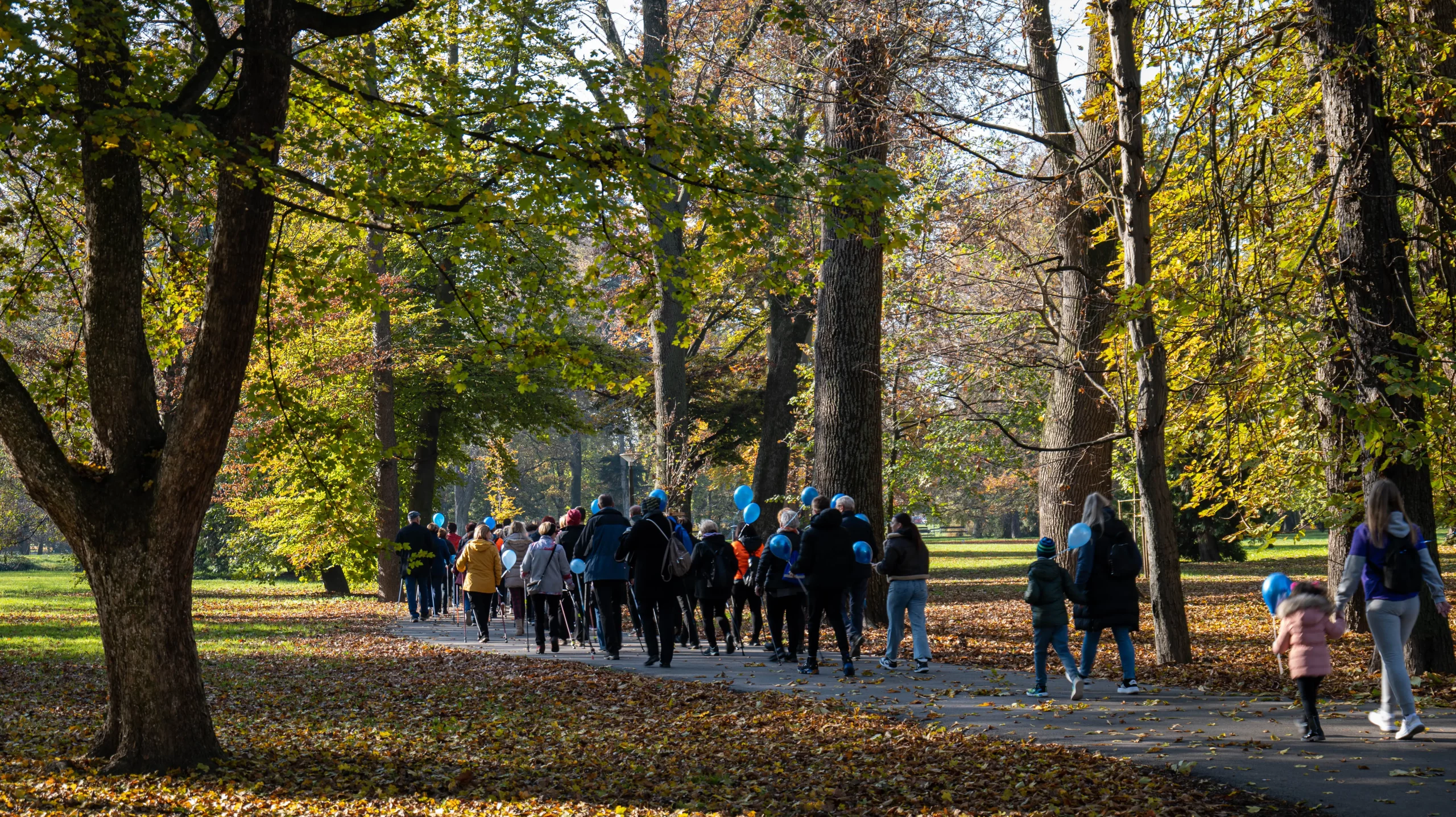 Dijabetes – Međimurski slatkiši (16 of 19) Dijabetes – Međimurski slatkiši (16 of 19)