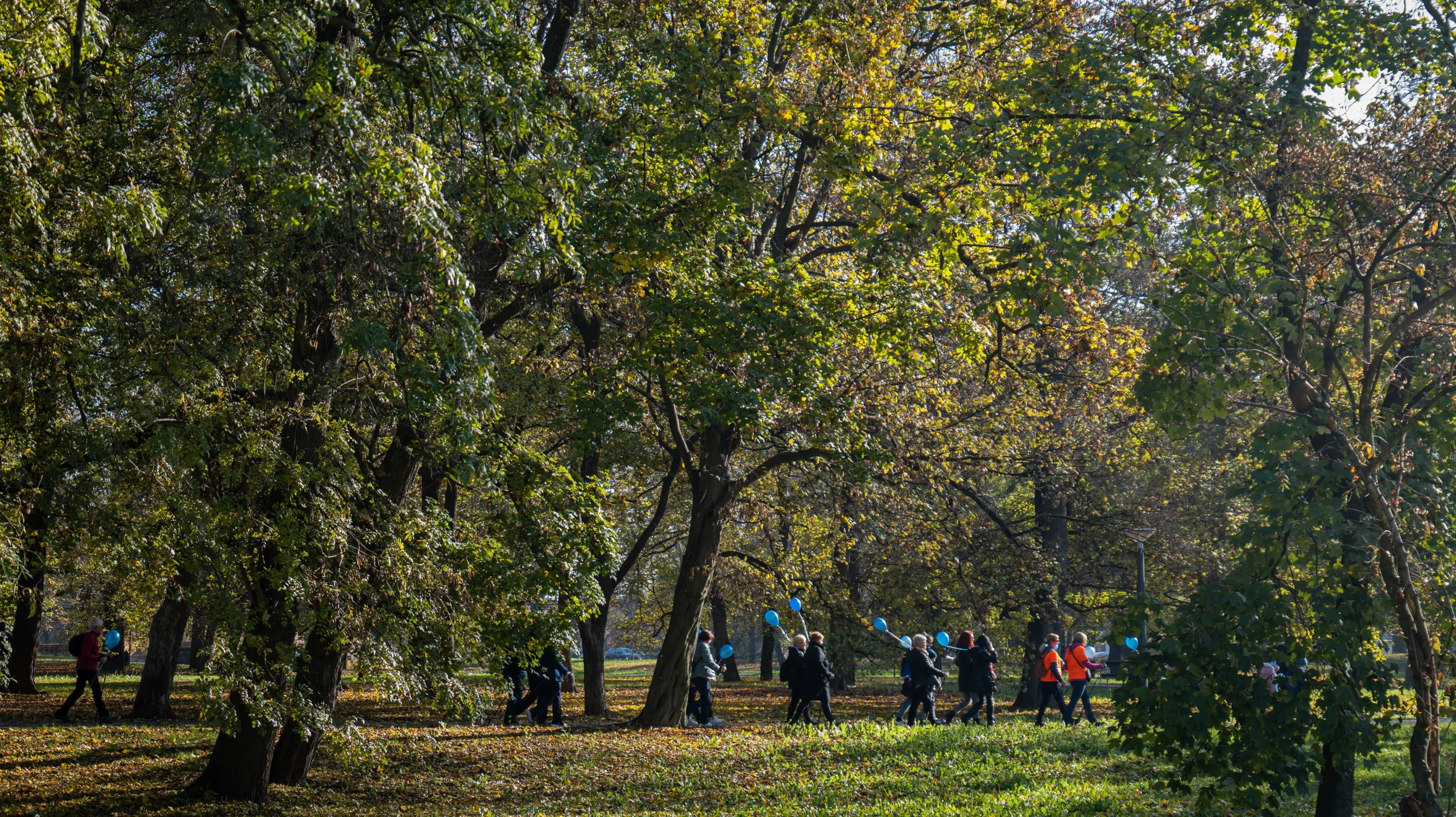 Dijabetes – Međimurski slatkiši (17 of 19) Dijabetes – Međimurski slatkiši (17 of 19)