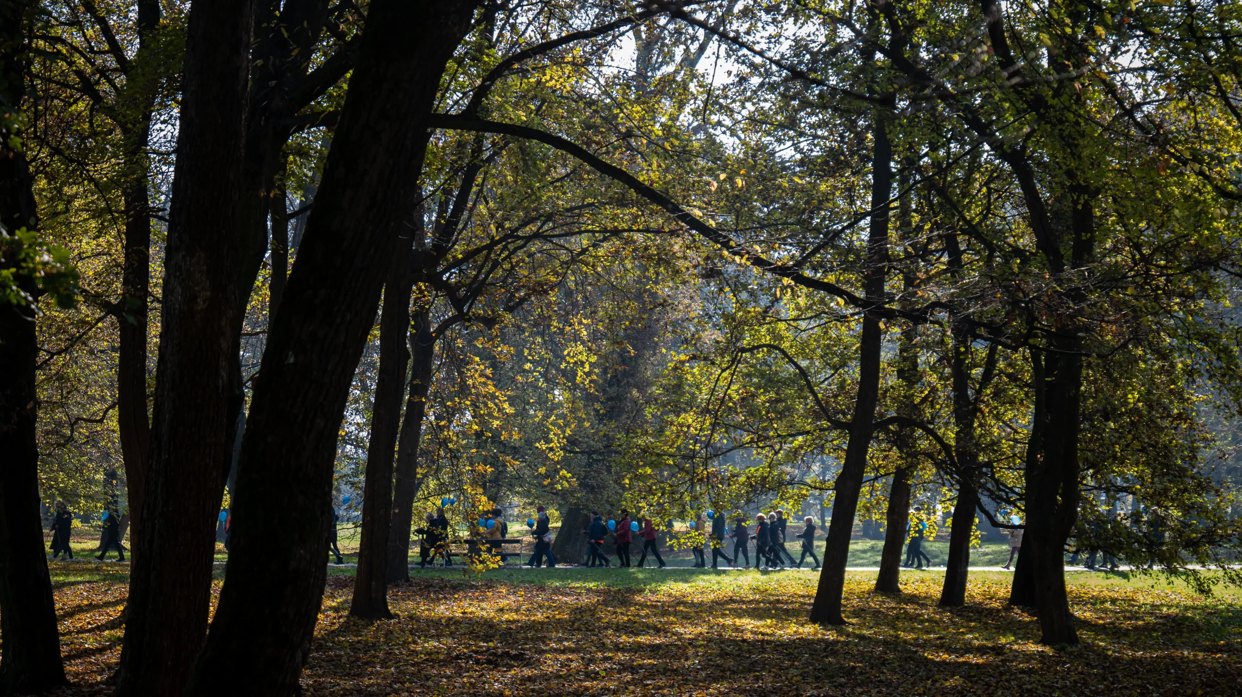 Dijabetes – Međimurski slatkiši (18 of 19) Dijabetes – Međimurski slatkiši (18 of 19)