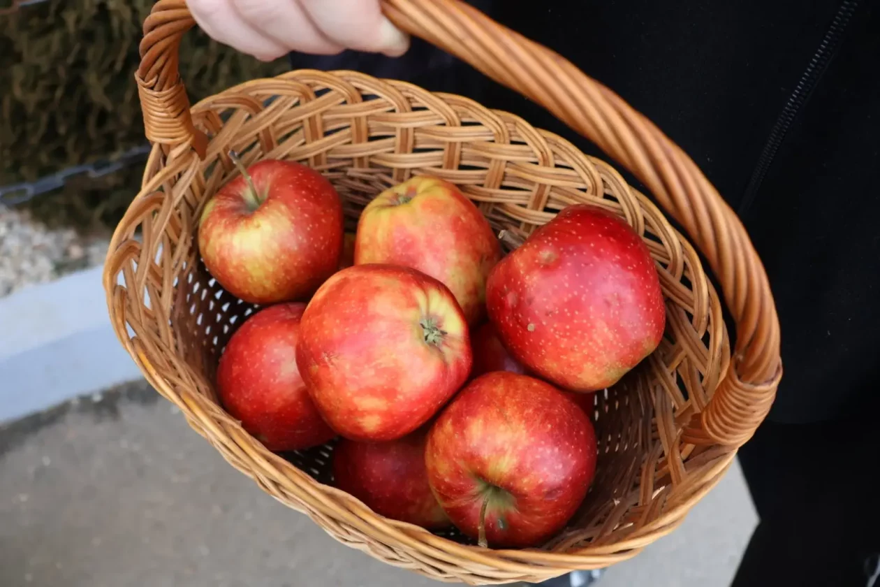 Dina i Josipa Lukša Donji Vidovec vještice fašnik (4)
