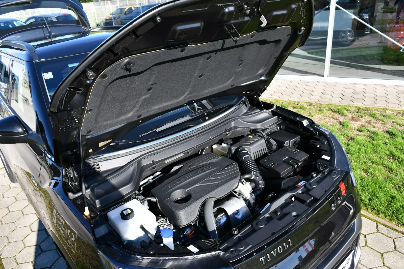 Dinamic Trade, SsangYong Tivoli (10) Dinamic Trade, SsangYong Tivoli (10)