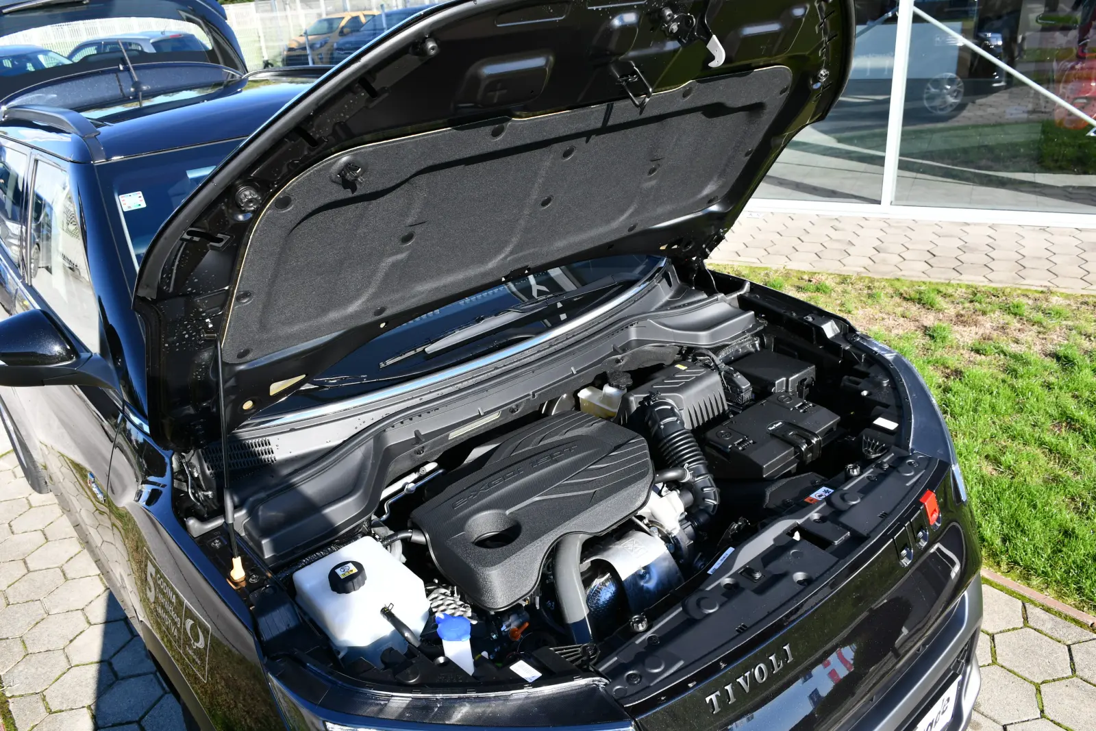 Dinamic Trade, SsangYong Tivoli (3) Dinamic Trade, SsangYong Tivoli (3)