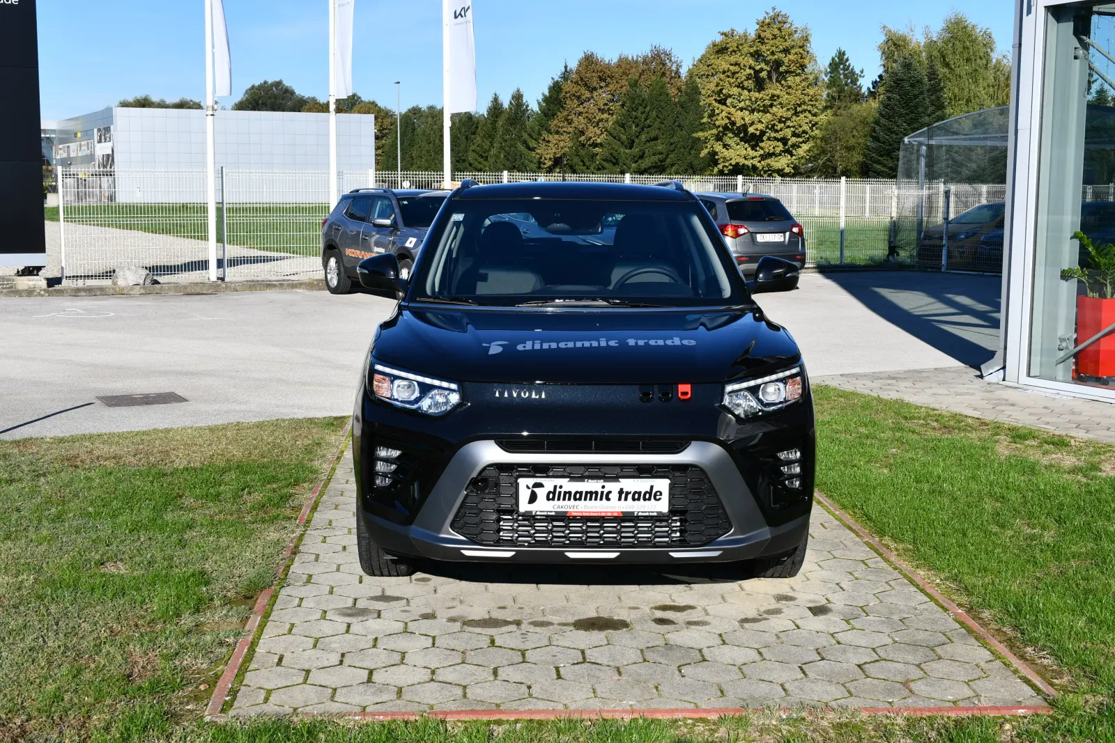 Dinamic Trade, SsangYong Tivoli (4) Dinamic Trade, SsangYong Tivoli (4)