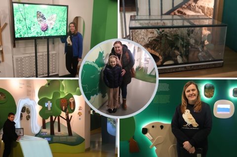 krizovec (6) med dvemi vodami krizovec (6) med dvemi vodami