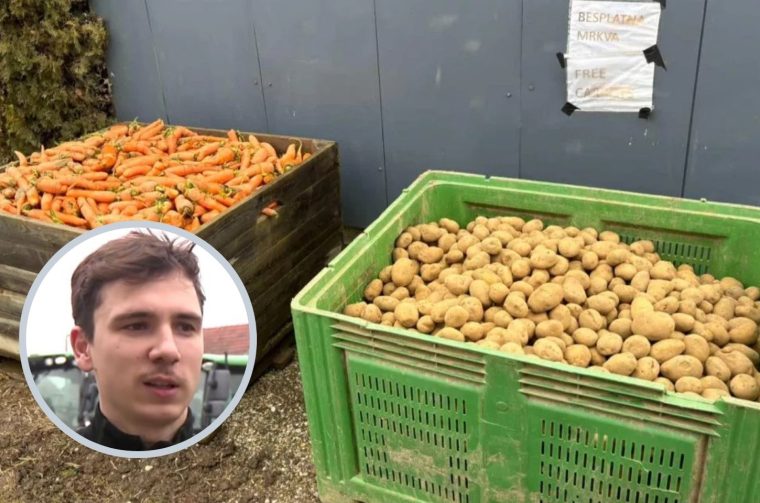 Emanuel pintarić mrkva krumpir