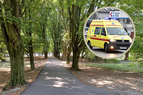 Dizajn bez naslova Dizajn bez naslova