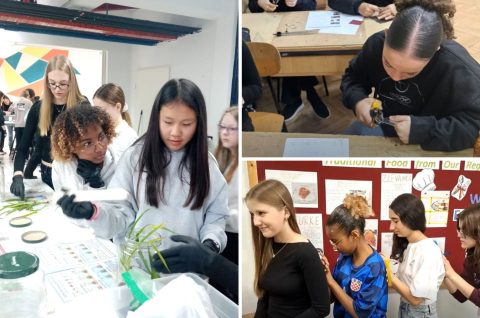 Erasmus+ Osnovna škola Belica