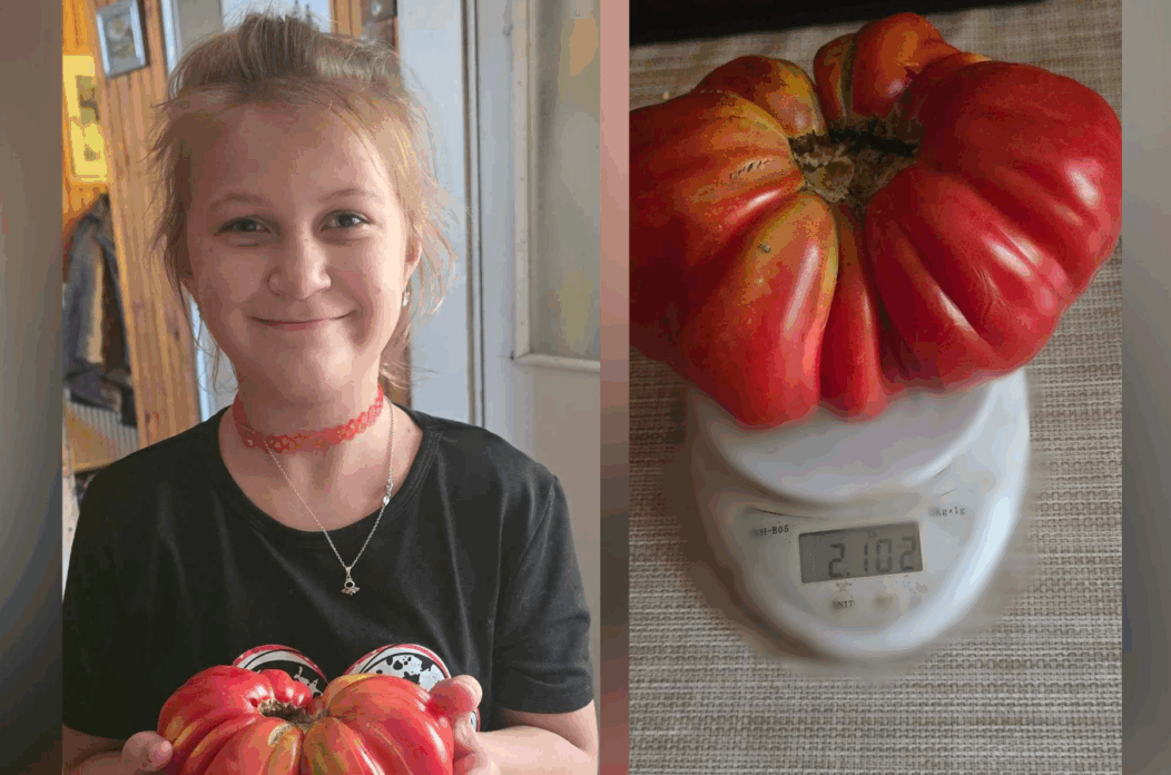 Mia Klaudija Živolić