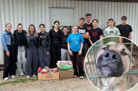 Gospodarska škola Čakovec Azil (4)