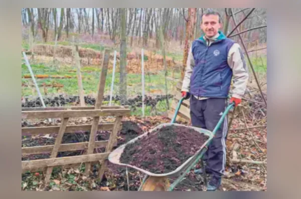 Krešimir Jurčević