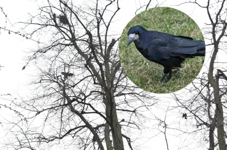 Dizajn bez naslova (70)