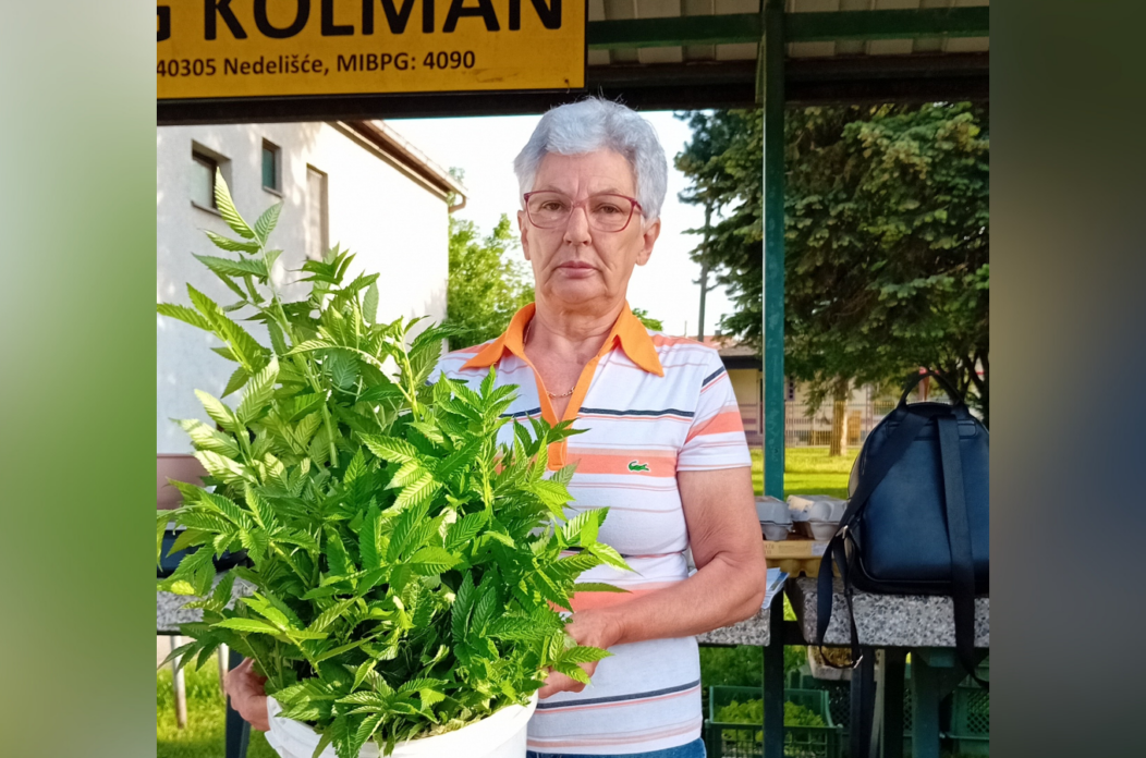 Dizajn bez naslova (71)